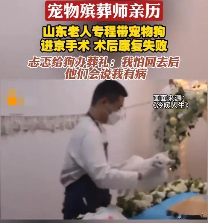 宠物殡葬：安放的是生灵，慰藉的是人心
 
宠物殡葬师悄然担起一份别样使命，为逝去