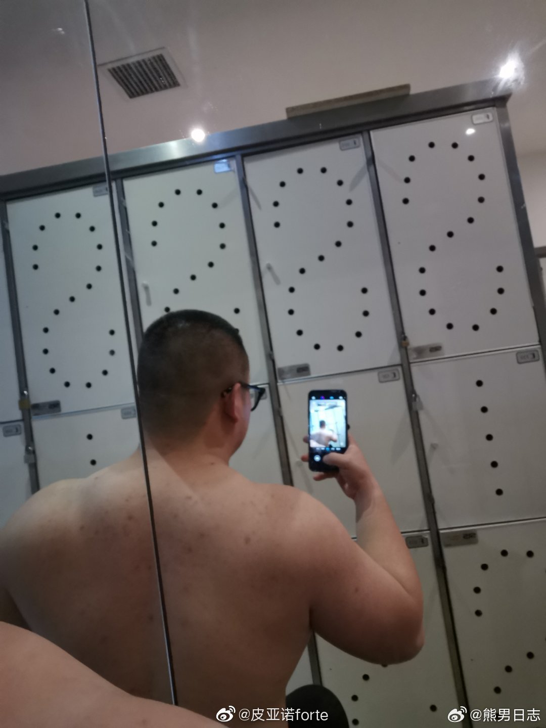 【BEAR】() 