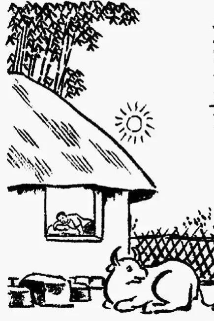 #一句诗记录秋日生活#雨中满地收秋果，日下邻家放晚牛。
