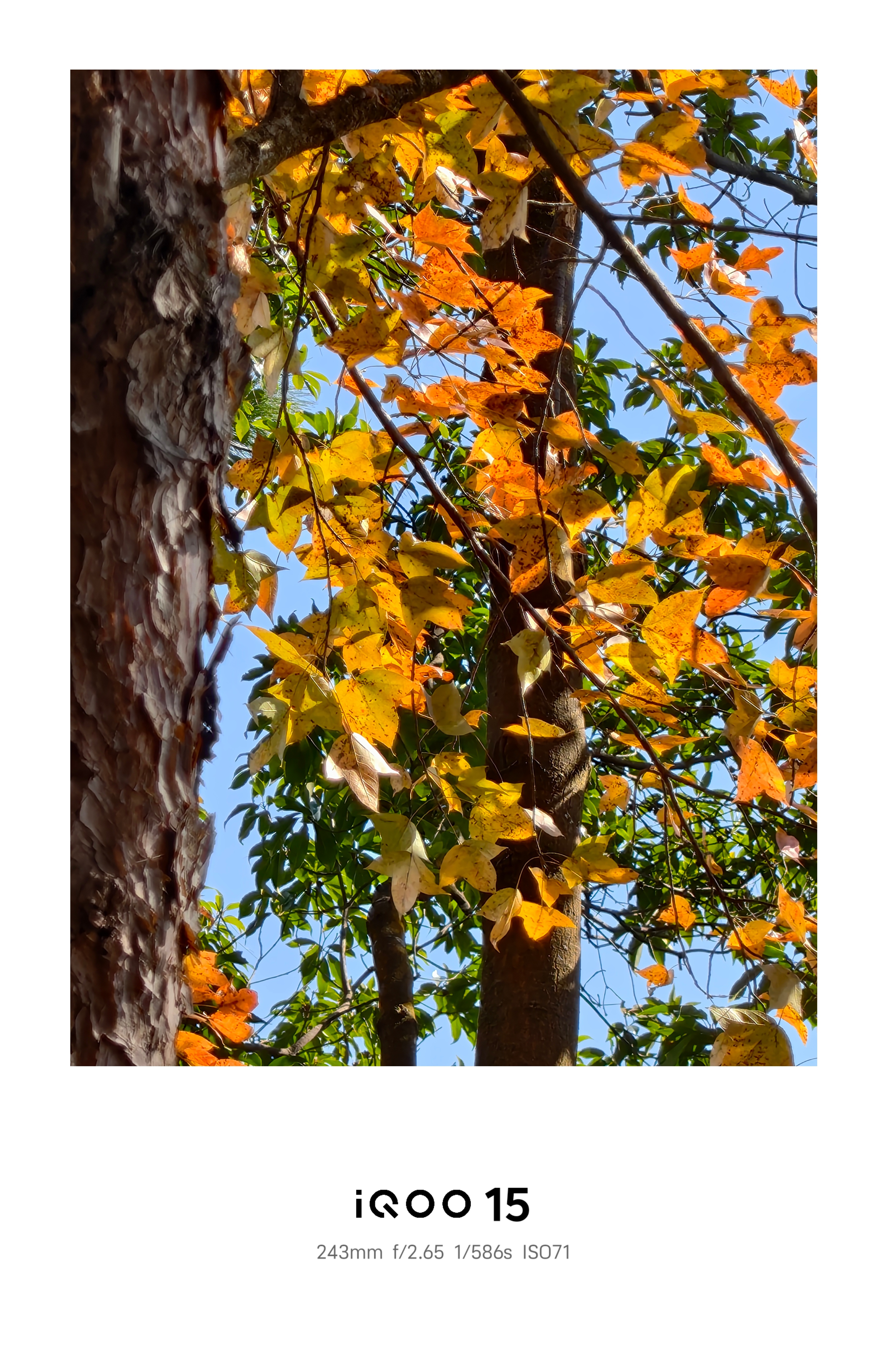 广东的十度有多冷不开玩笑，风嗖嗖的来，回了趟老家要顶不住了 梅州