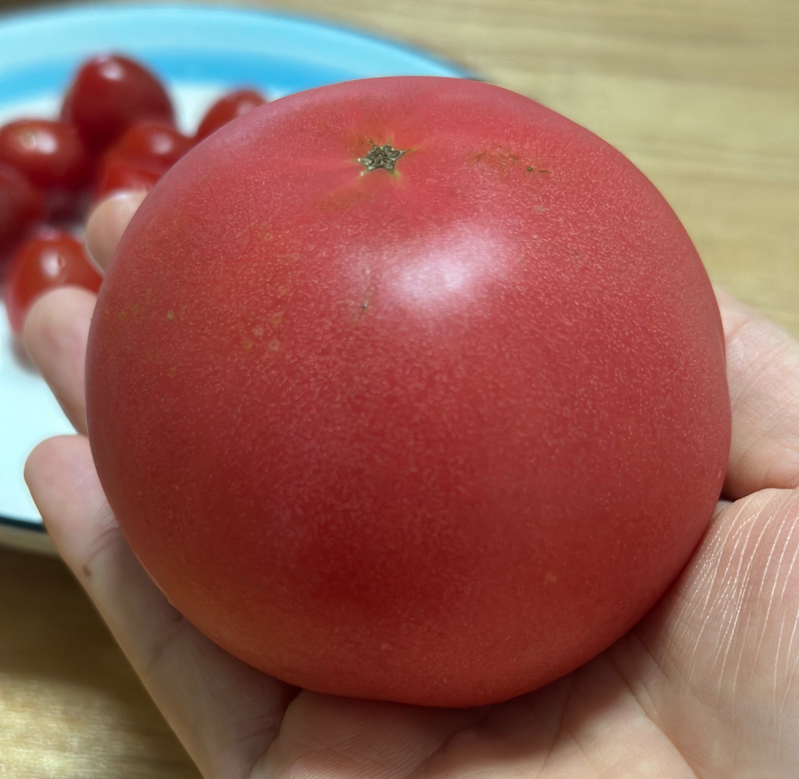 西红柿，你喜欢吃软，还是吃硬？老师说，哪有人喜欢吃软的？我说，巧了，我就是呀..