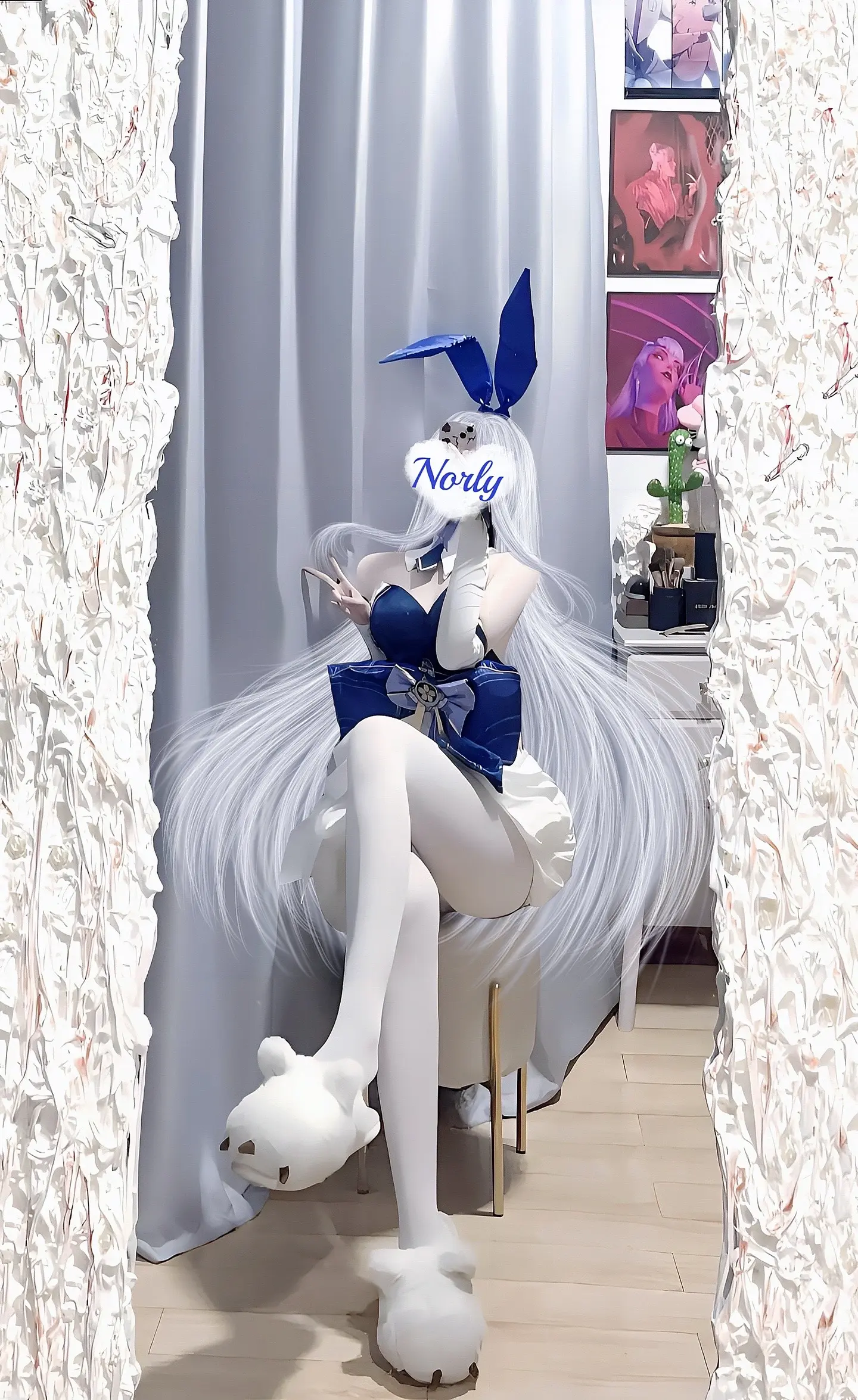 信浓兔兔装来喽！