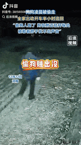 河南，一狗狗凌晨突然被偷，主人听到狗狗的大声狂吠，于是一家人出动四处寻找，半个小