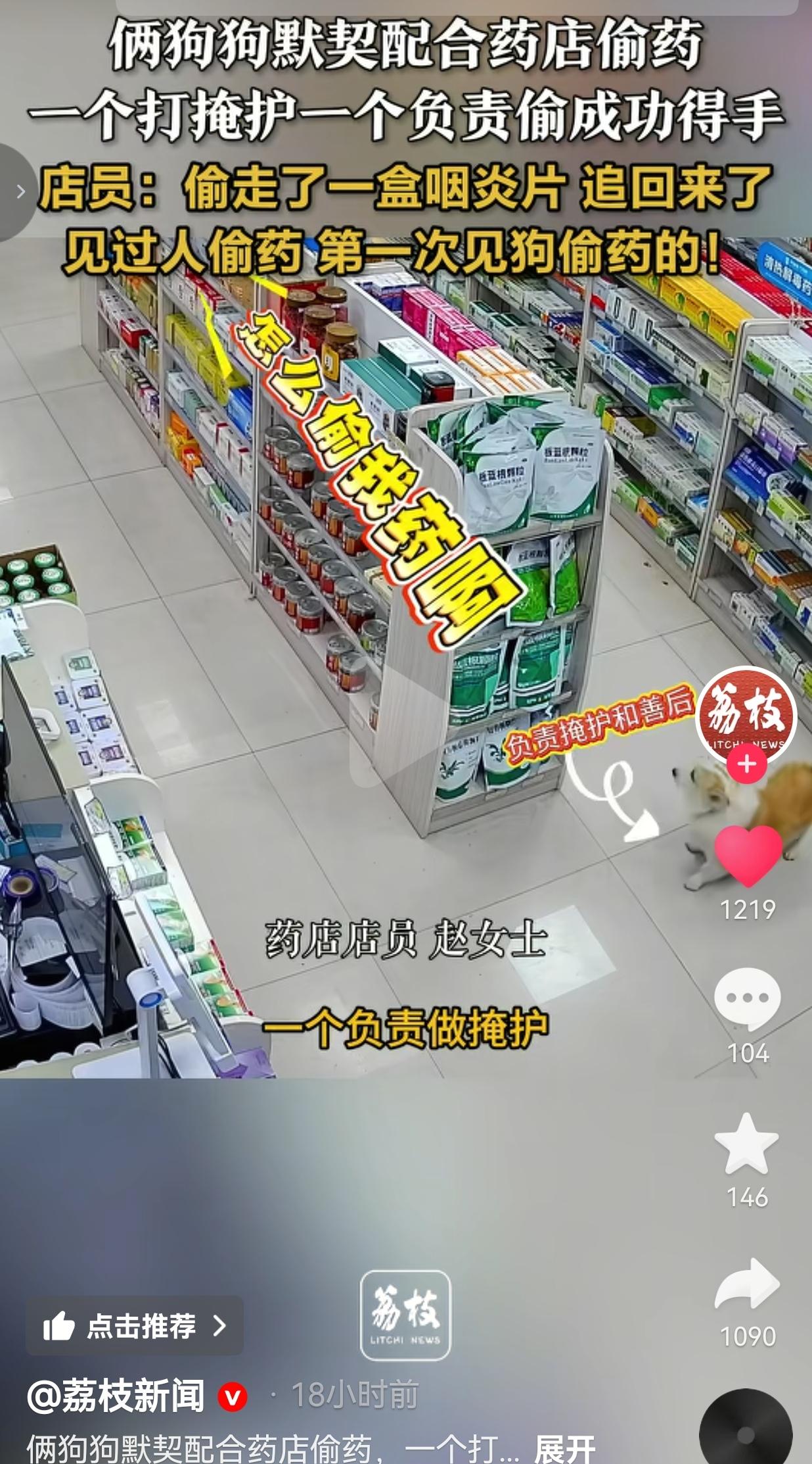 活久见！长沙俩狗子组队药店偷咽炎片，分工明确还会打掩护！
 
见过人偷药，你见过