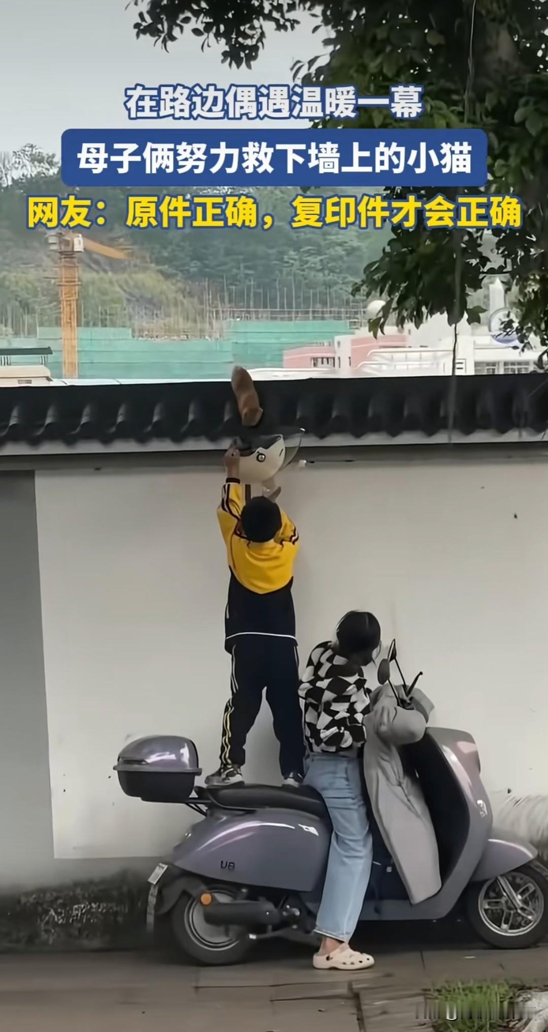 重庆街头这一幕暖哭了！母子合力救小猫
 
重庆街头，一对母子用最朴素的方式，上演