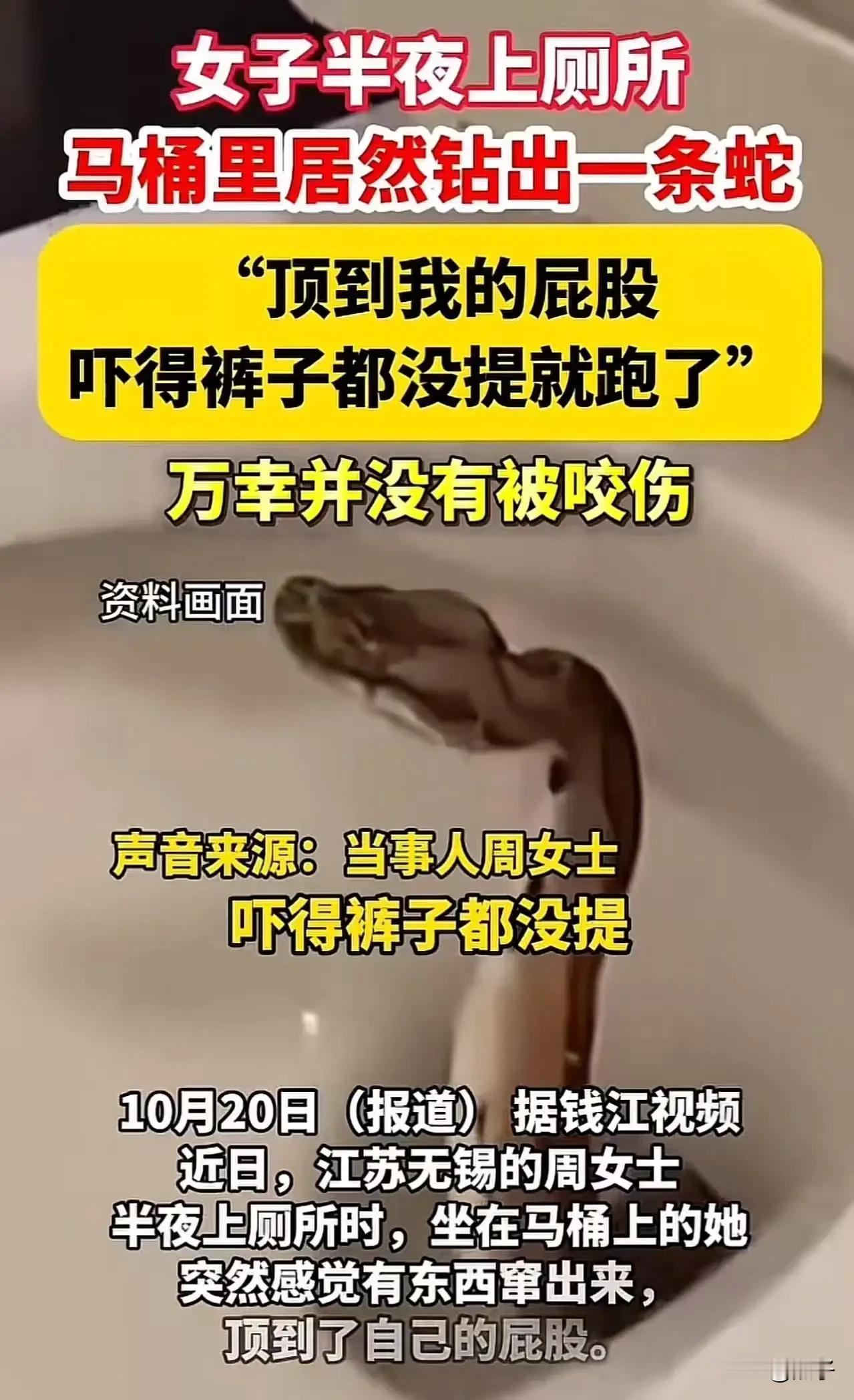 深夜惊魂！无锡，女子半夜上厕所，突然感觉有东西顶自己的“屁眼”，女子回头一看，吓