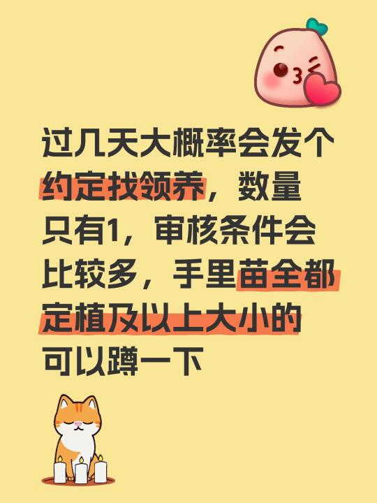 过几天概率会发个约定找领养，数量暂定1