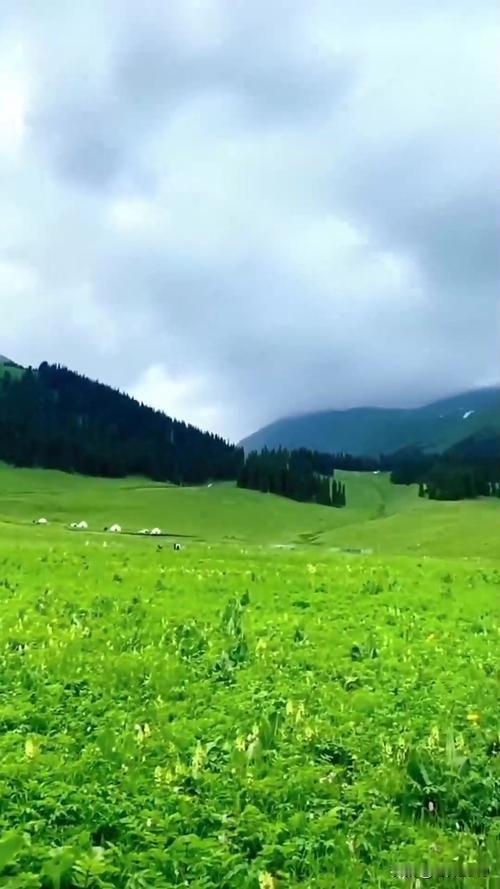 新疆最湿润的地方在哪里?
伊犁地区，被称为来自大西洋的最后一滴水滋润到的地方。