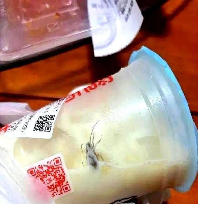 封口膜没撕，蟑螂漂在杯底，女孩举着手机录视频，店长秒退钱，女孩张口就要一千。她没