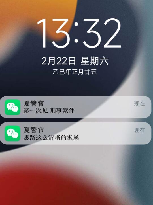 第一次见 刑事案件 思路这么清晰的家属