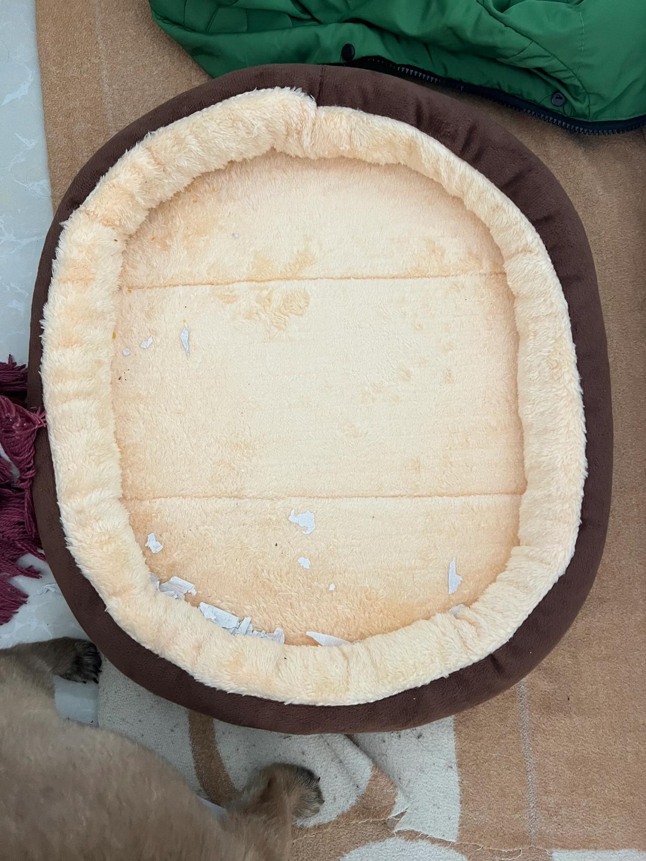 狗狗的世界，简单而美好。