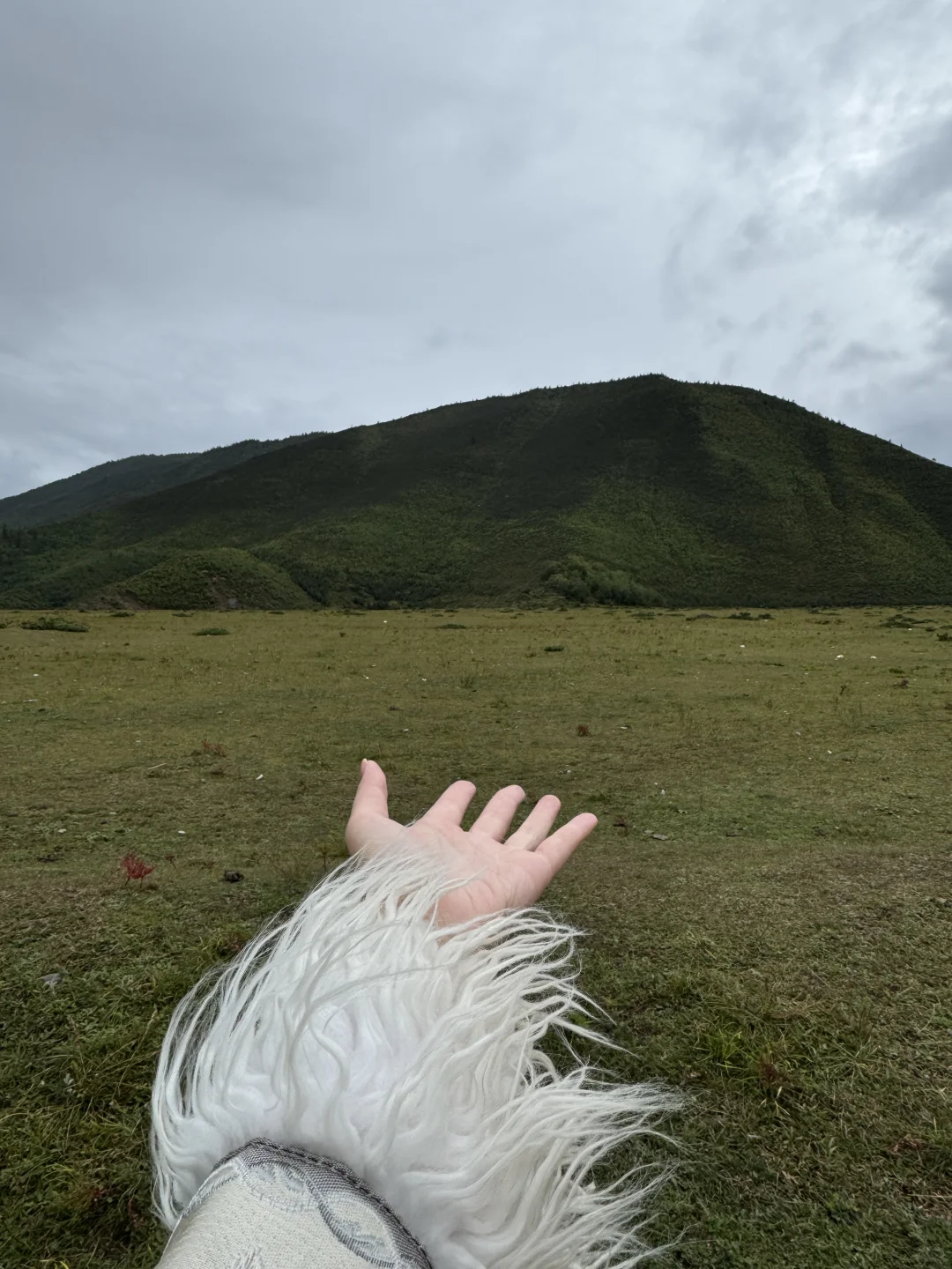 刚回！3️⃣小时环纳帕海能救一个是一个😭😭😭