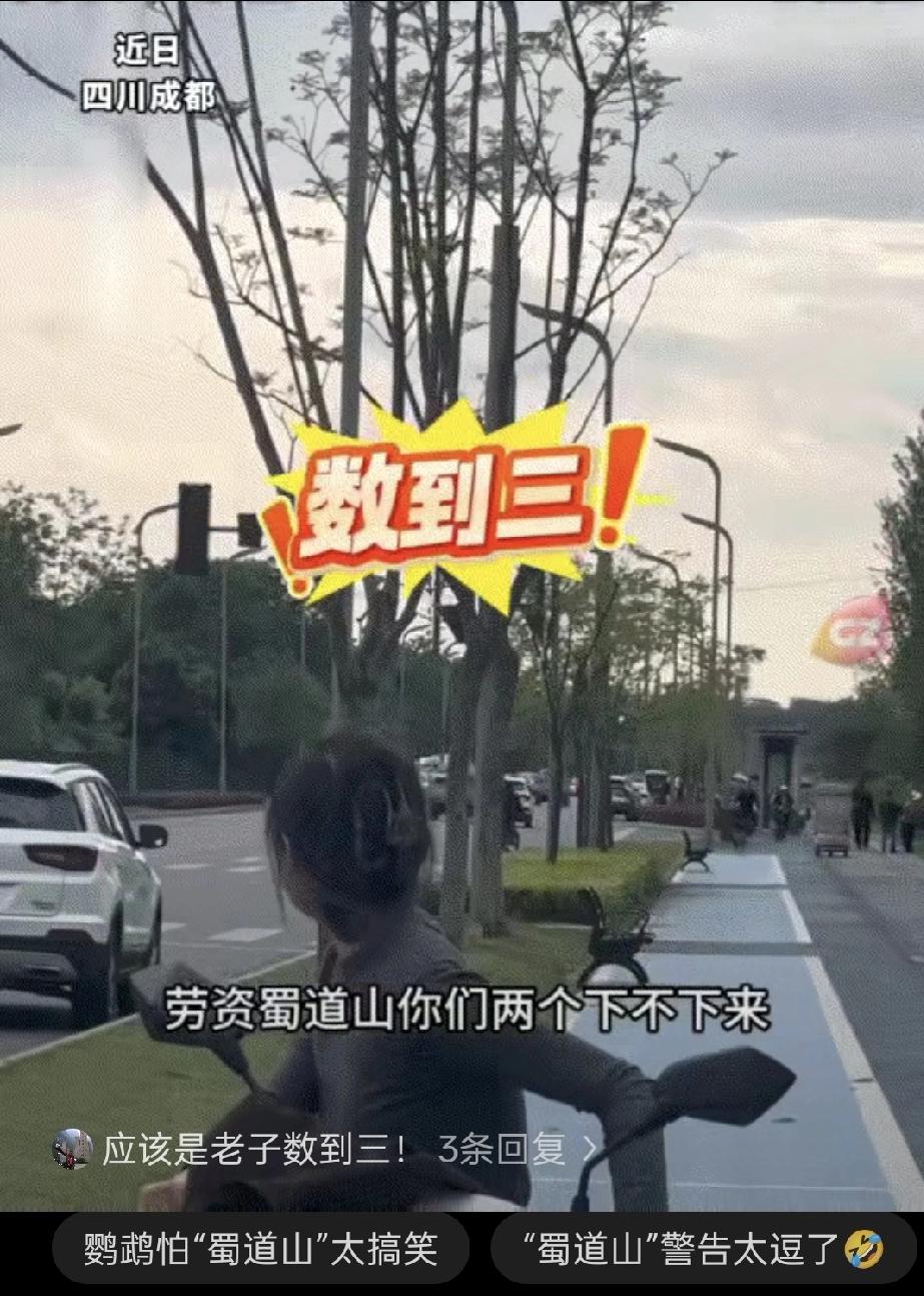 笑不活了，四川成都一女子，带着自己养的两只鹦鹉去户外放飞。结果回家时，女子如何呼