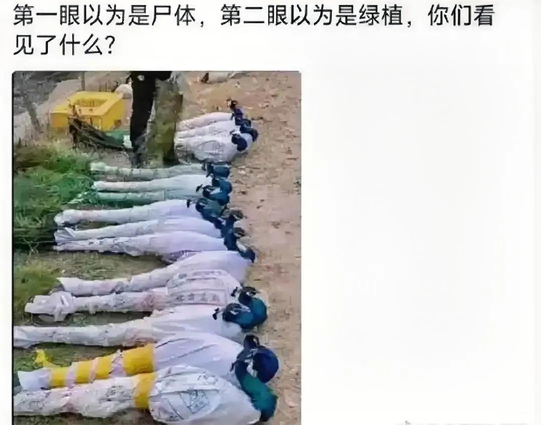 的确需要好好看看。