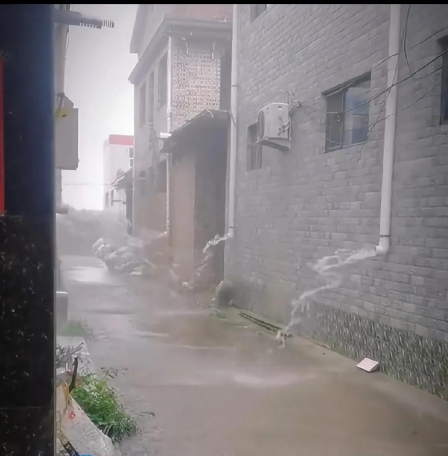 笑死了！这是比谁家的排水管道短吗？谁都不肯长出一点，下大雨这条路谁也别想好过！
