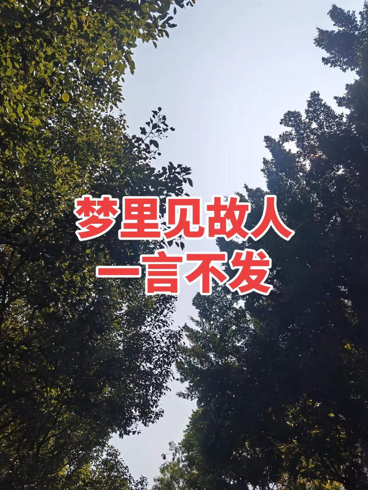 越来越好平平安安