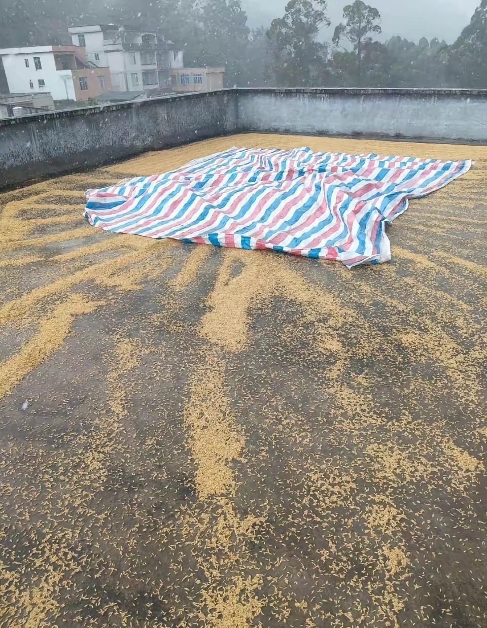 想问下广西的老表们，这三件事哪一个最严重？ 