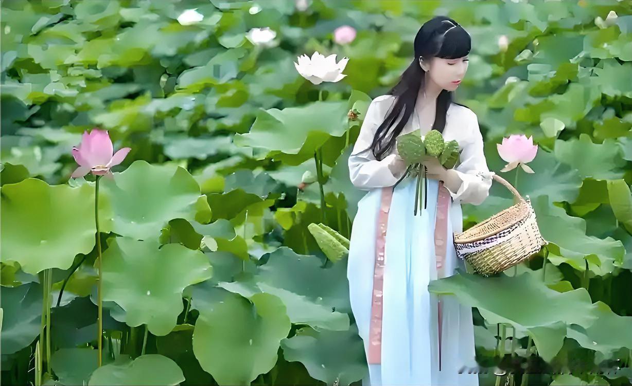 下联：莲子年年苦在心
上联：有请雅士[玫瑰][玫瑰][玫瑰]