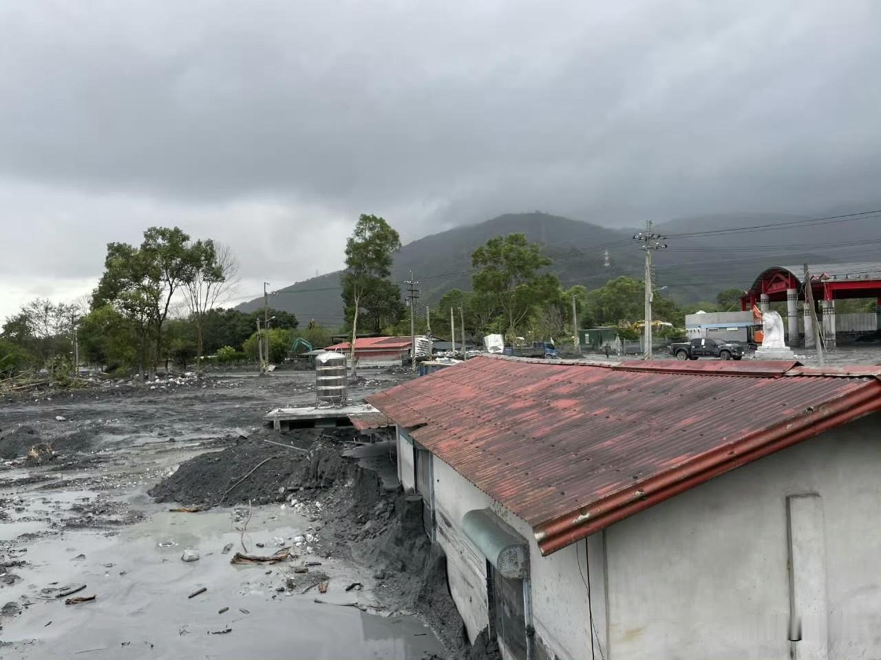 对了，这是这几天的花莲。