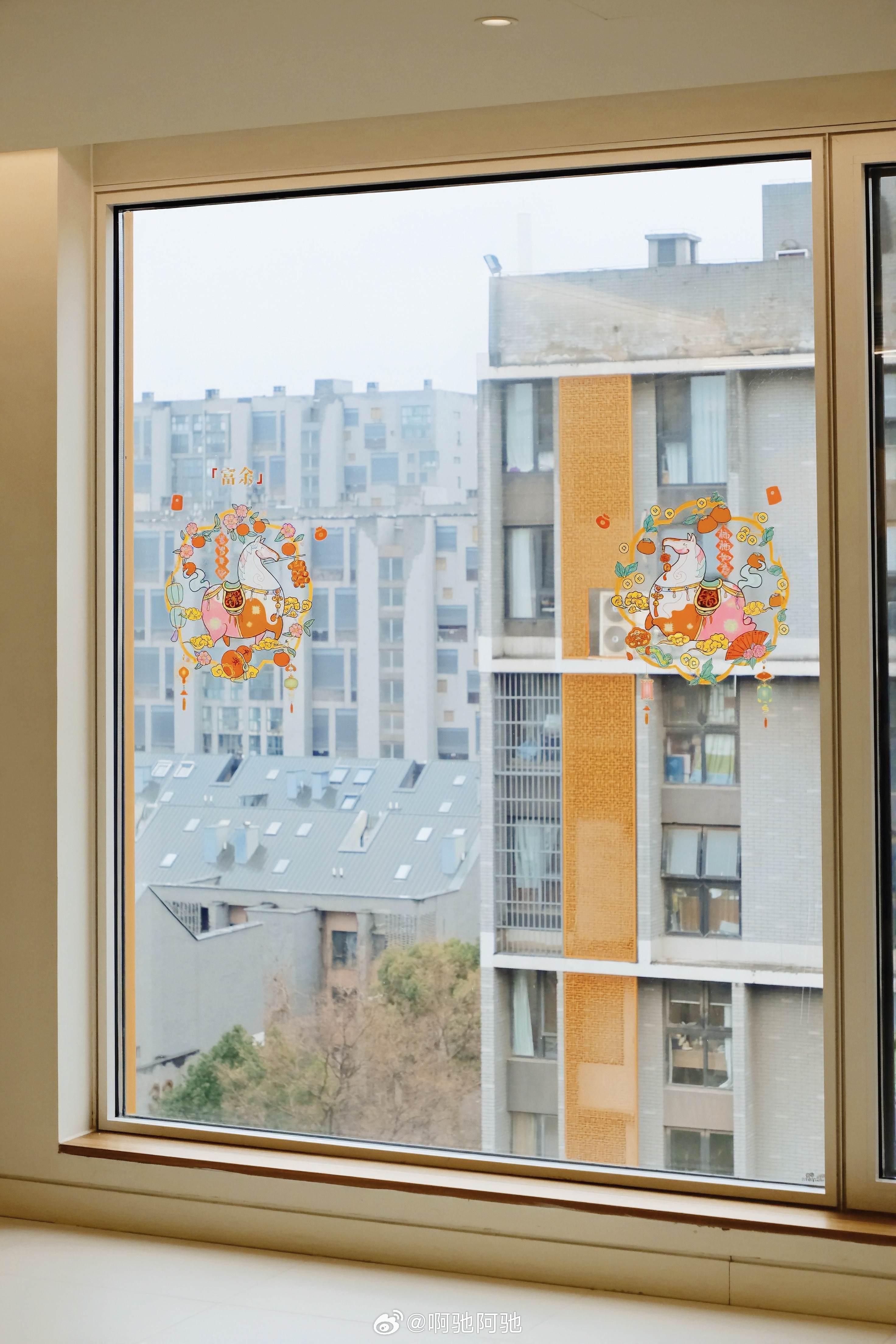 大年夜啦！今年过年真是有点匆匆忙忙慌慌张张在有限的时间和精力里努力布置了家里的年