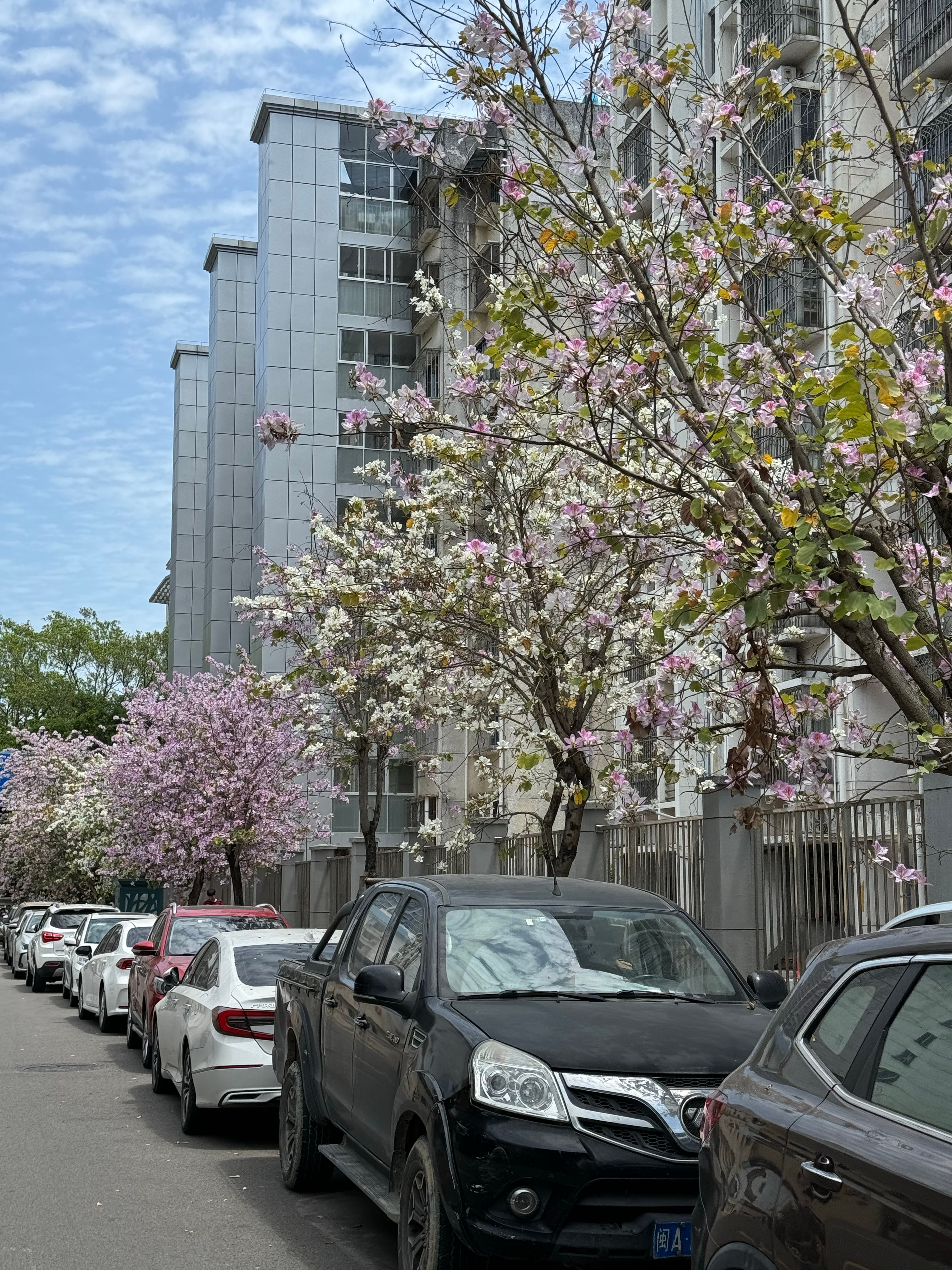努力恢复中 ​​​