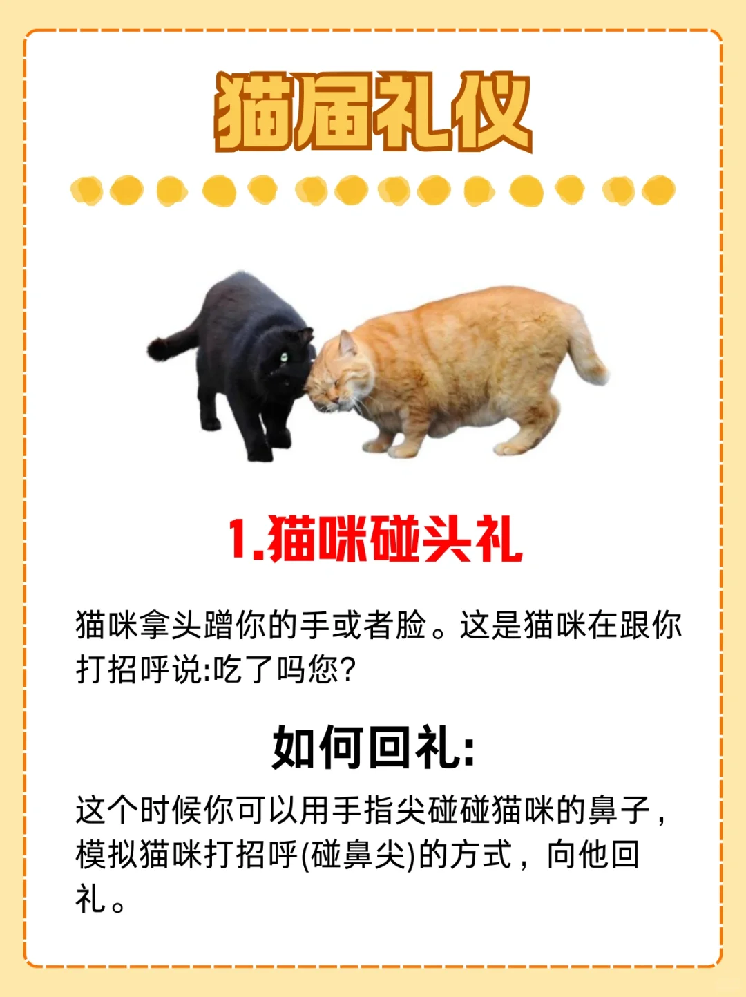 🐱猫界礼仪知多少？