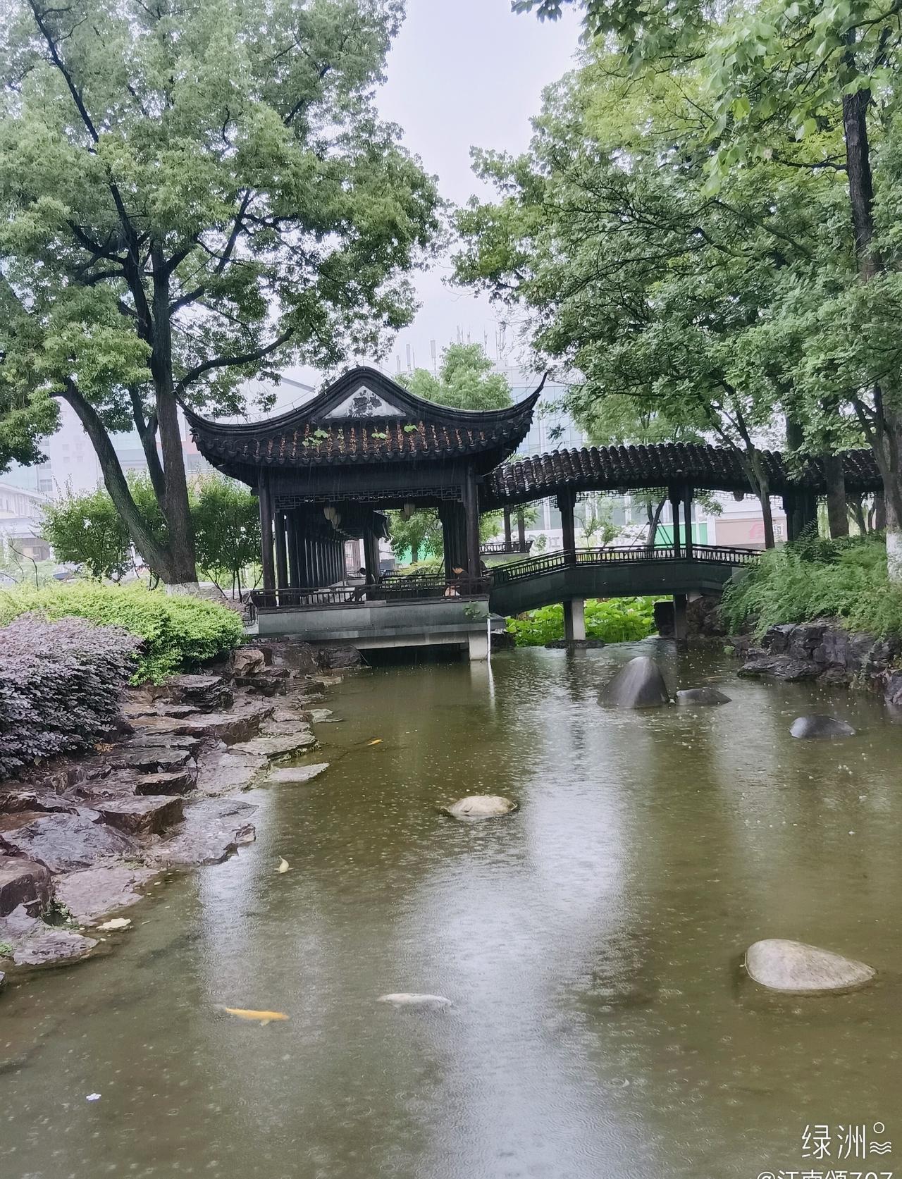 夏至雨天   ​​​
