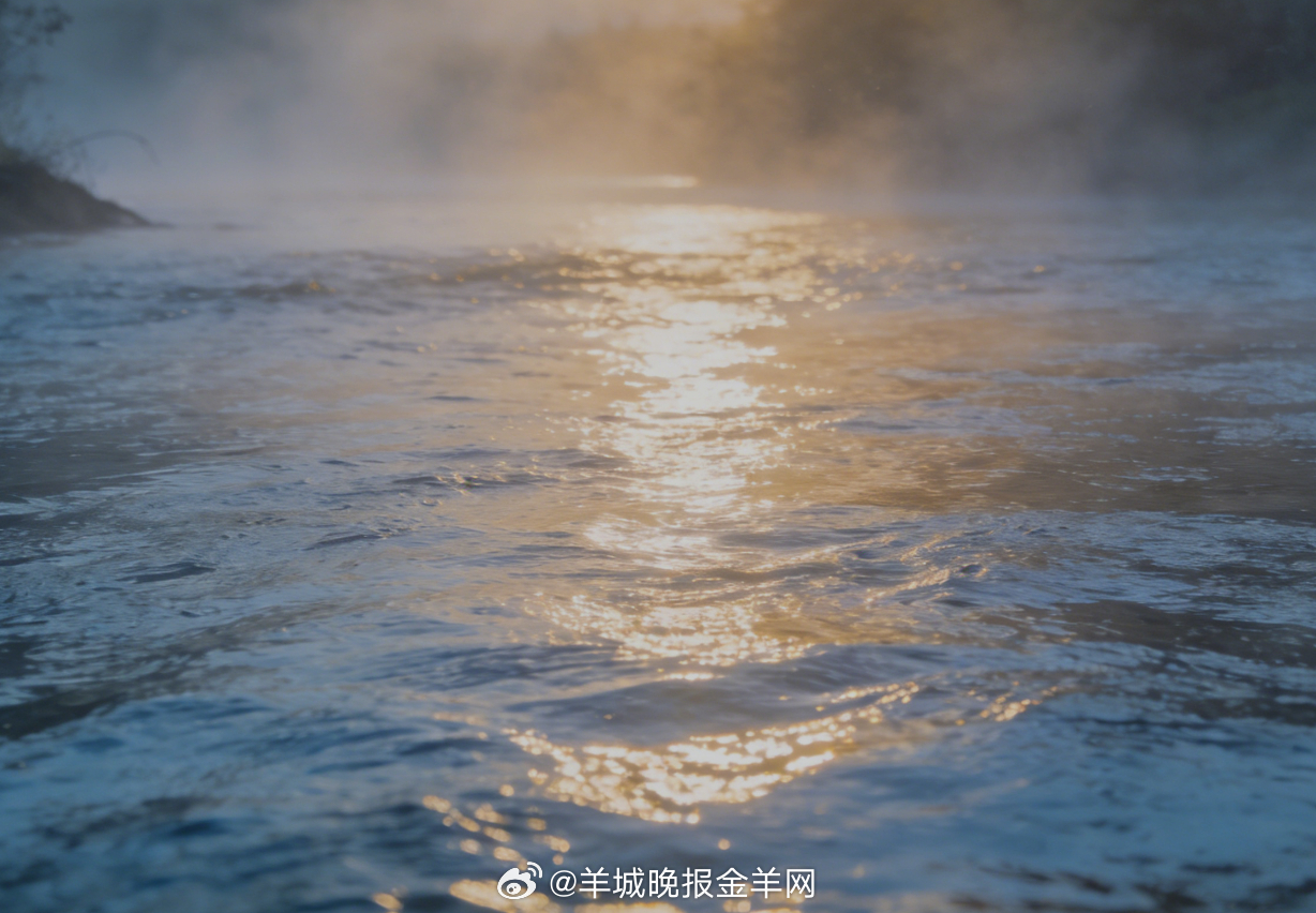 #早安# 河畔晨雾轻拢，微风裹着微凉拂过水面，晨光揉碎在粼粼波光里，新的一天，伴