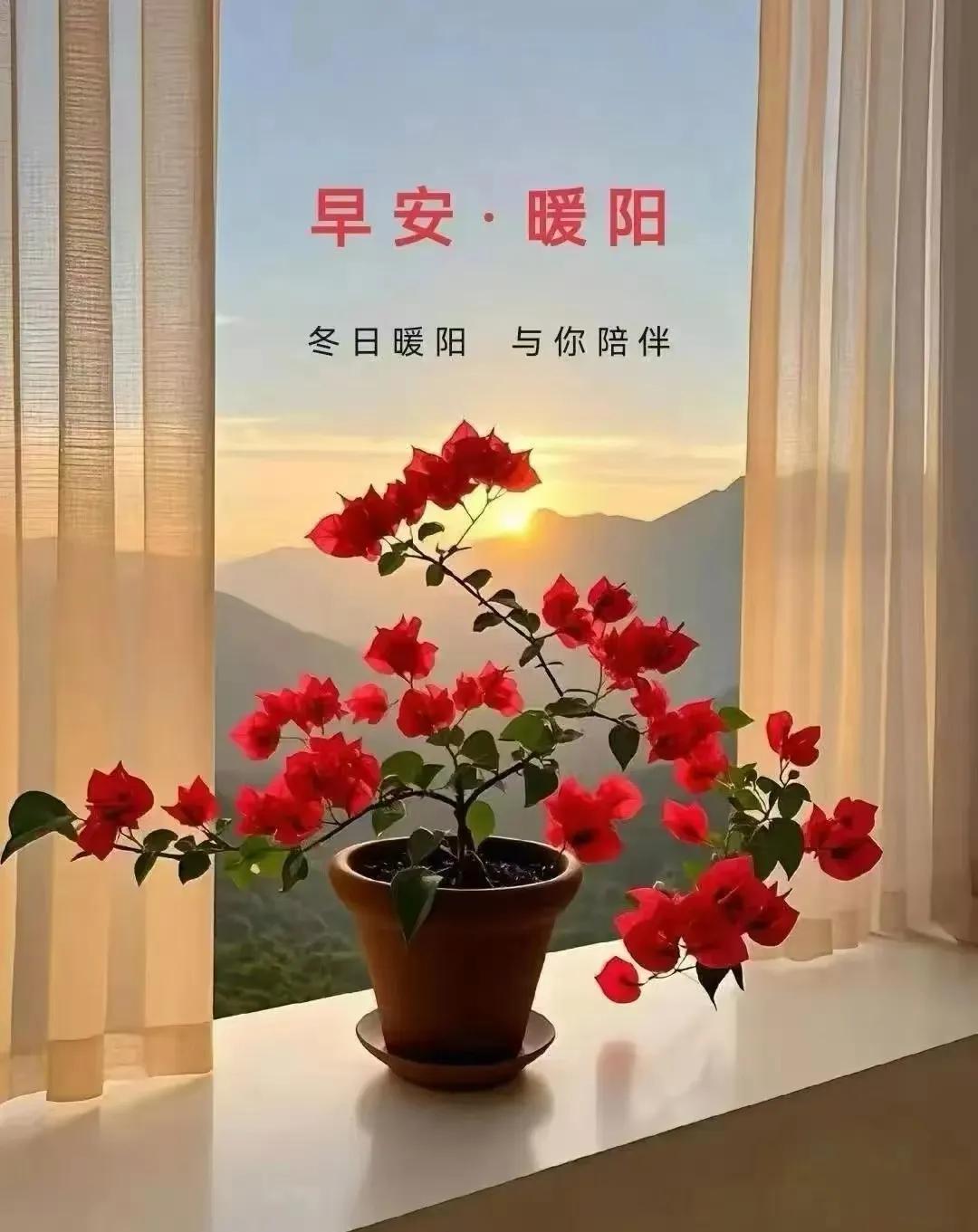 读《请不要灰心呀》，感动中。。。。

前日，乱翻书，偶然看到一介绍一日本老奶奶，