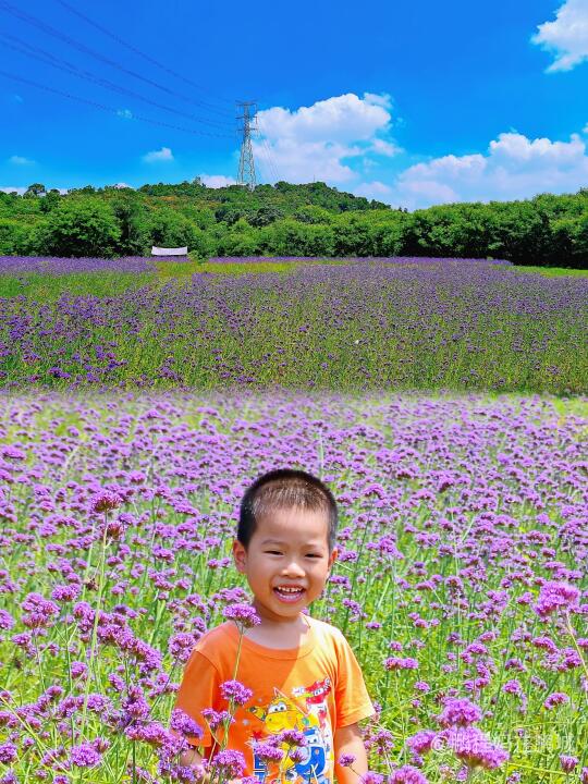 这个公园全能型选手🌸海🏕️游乐场全了