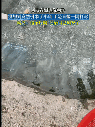 钓鱼佬：下次就买只鸭子去打窝，可能成本更低。