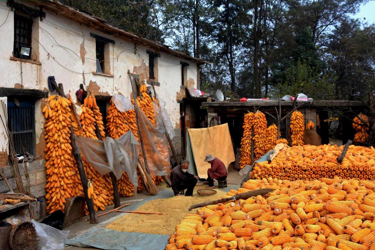 记录•太行一日