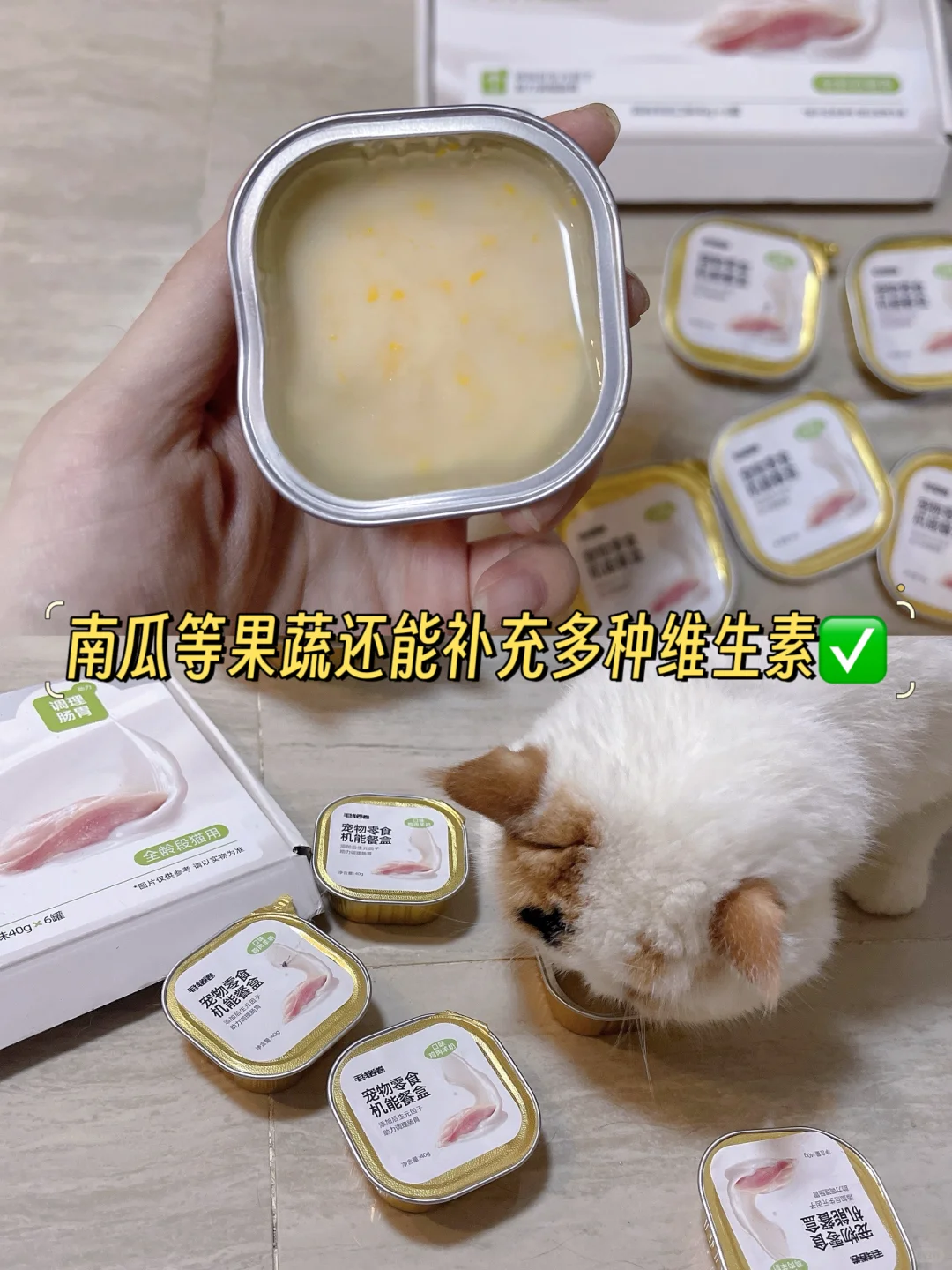 猫咪只吃猫粮真不行！营养要跟上