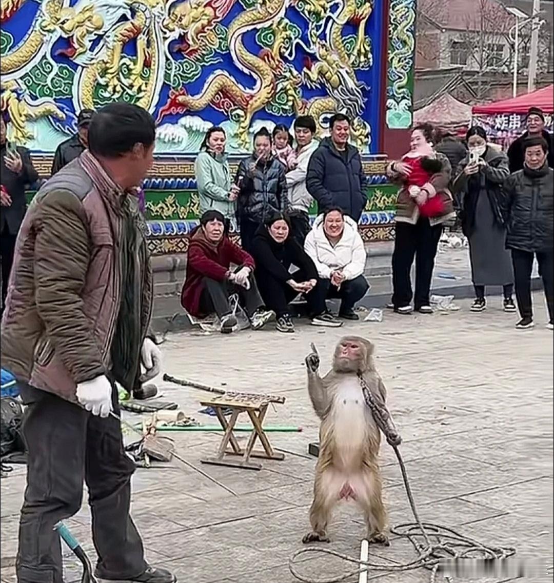 看到一个有趣的宣传片，什么感觉呢？就是当一个不知道什么是高端的人，努力去做自以为