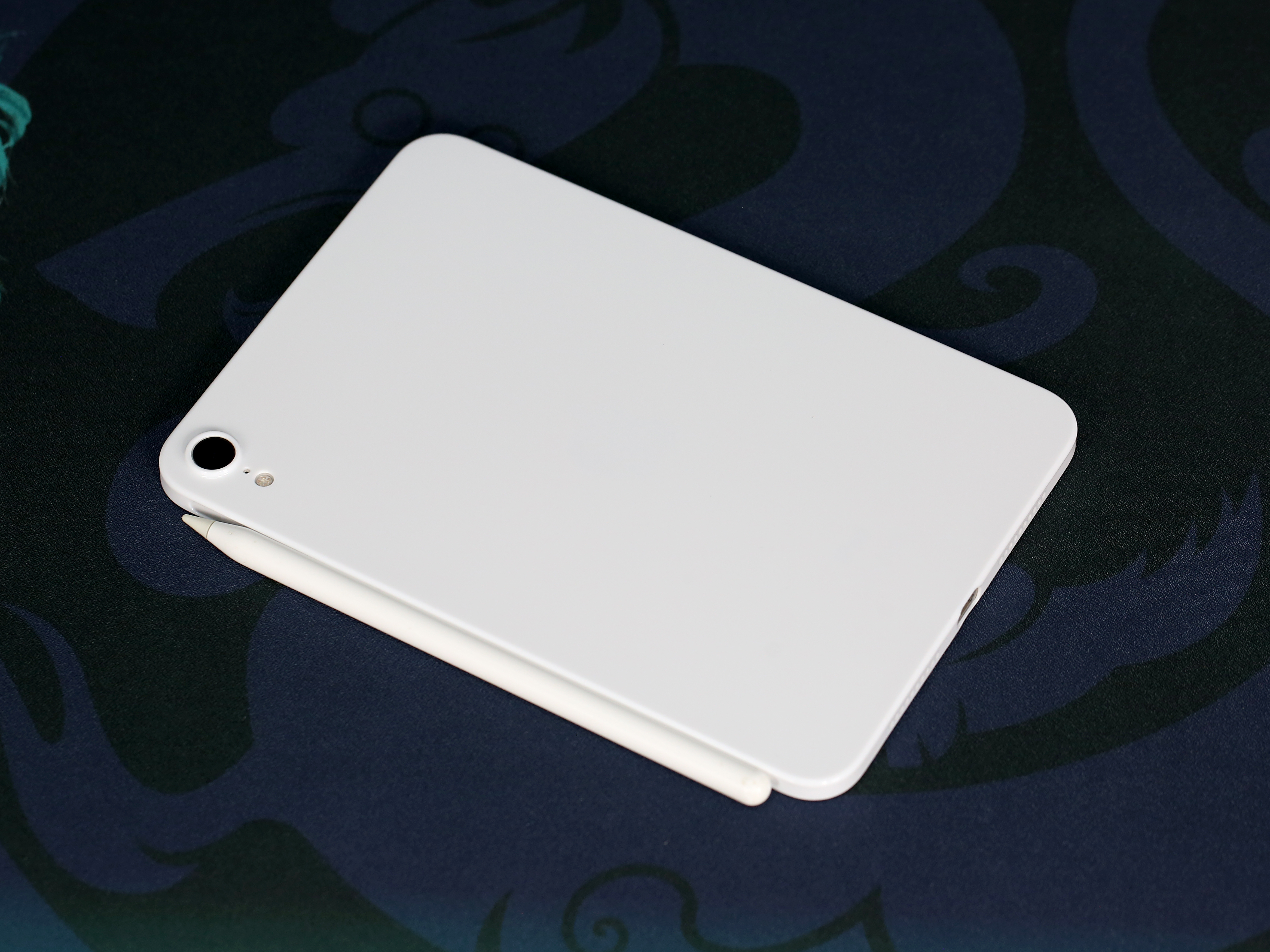 iPad mini7 超薄亮面瓷白，近似于裸机的手感，白得可人[嘻嘻] 