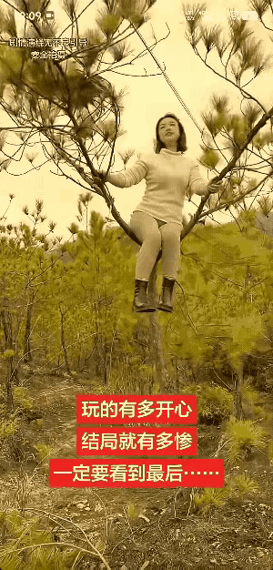 春风吹得遍地绿
小树伴我随风舞
嘎吱嘎吱看天鹅
树断人摔抓脱兔
春景如画三千里