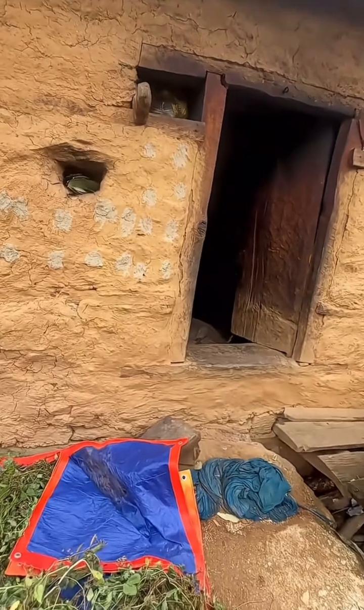 哈哈哈。