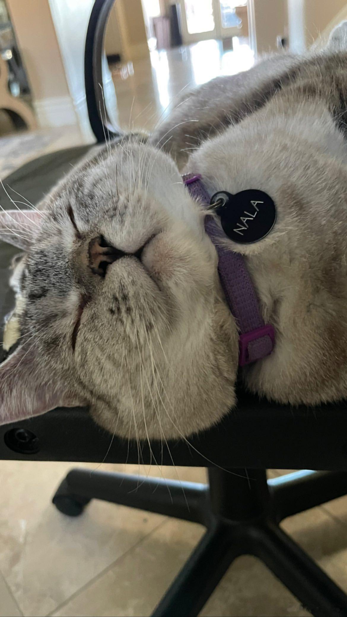 起不来～🥺 ​​​