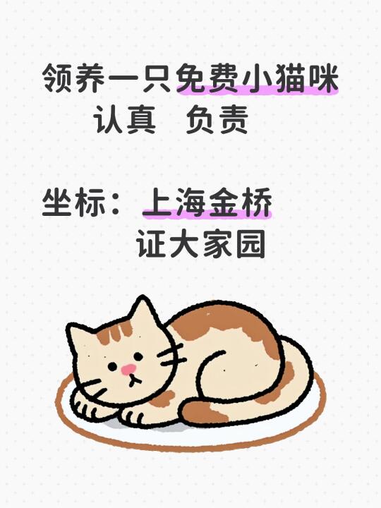 领养一只免费小猫咪 认真   负责 	 坐标：上海金桥 证大家园