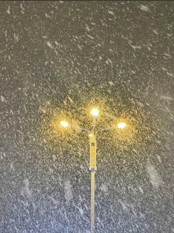 满天飞雪 把我心冷却