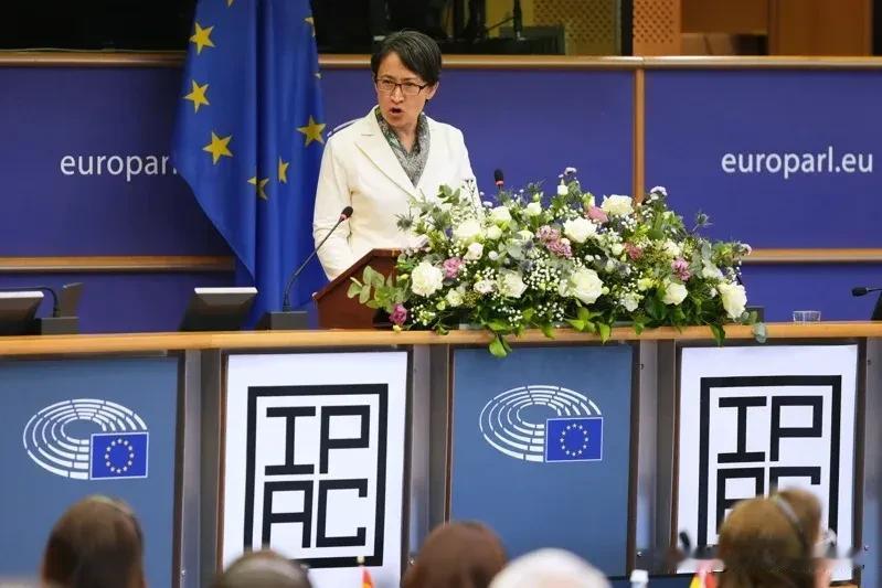 萧美琴赴欧洲议会演讲 胡锡进：台独跳得越高死得越快

萧美琴欧洲时间7日赴欧洲议