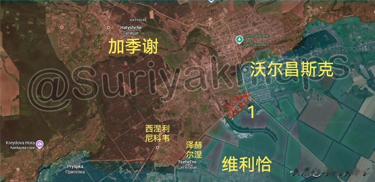 11月5日俄乌最新战报：

1.哈尔科夫州前线：
俄军完全控制了沃尔昌斯克市的鲁