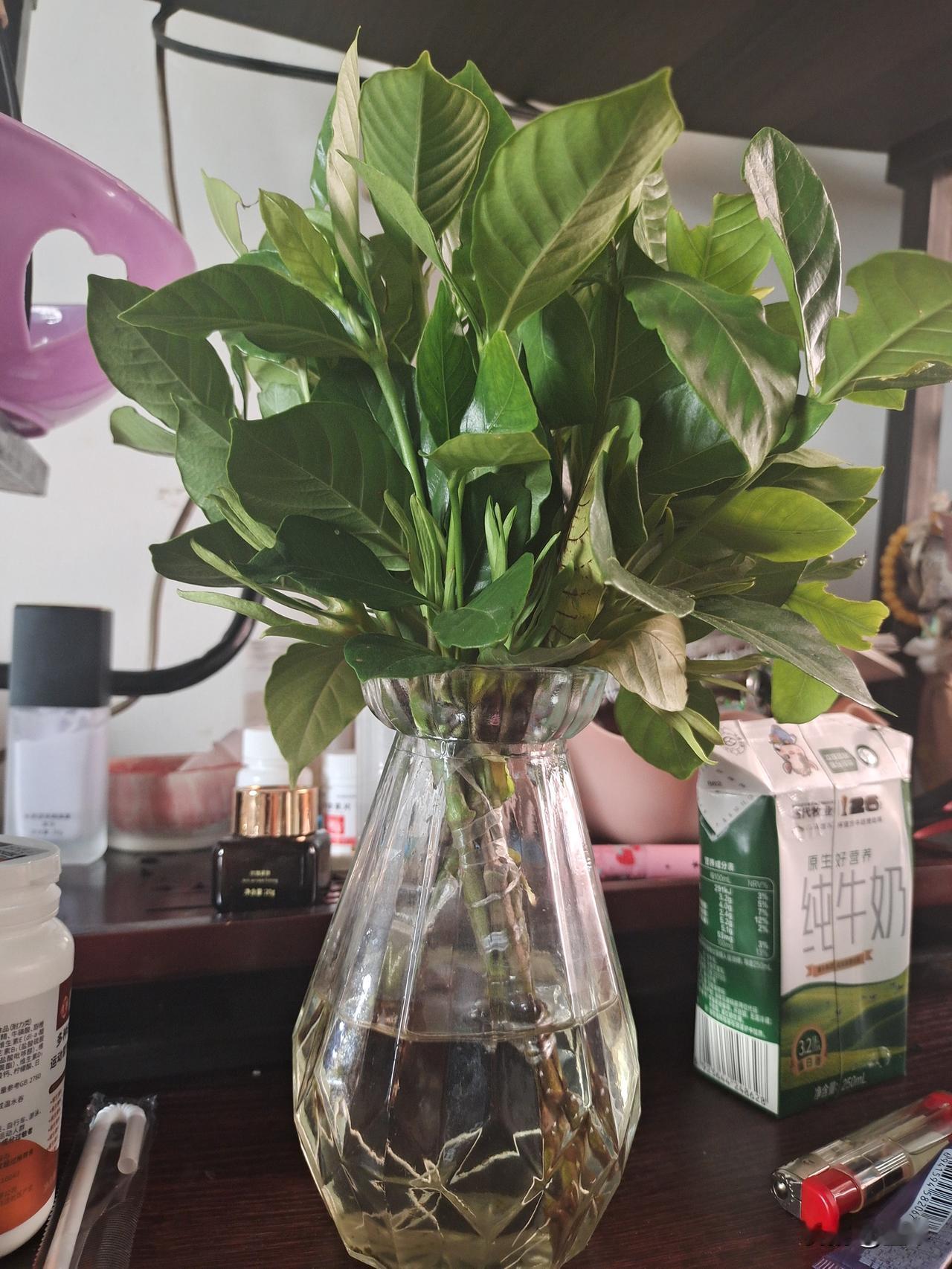 有心栽花花不发，无心插柳柳成荫！


大约一个月前在厂区买菜的时候，碰见一老头卖