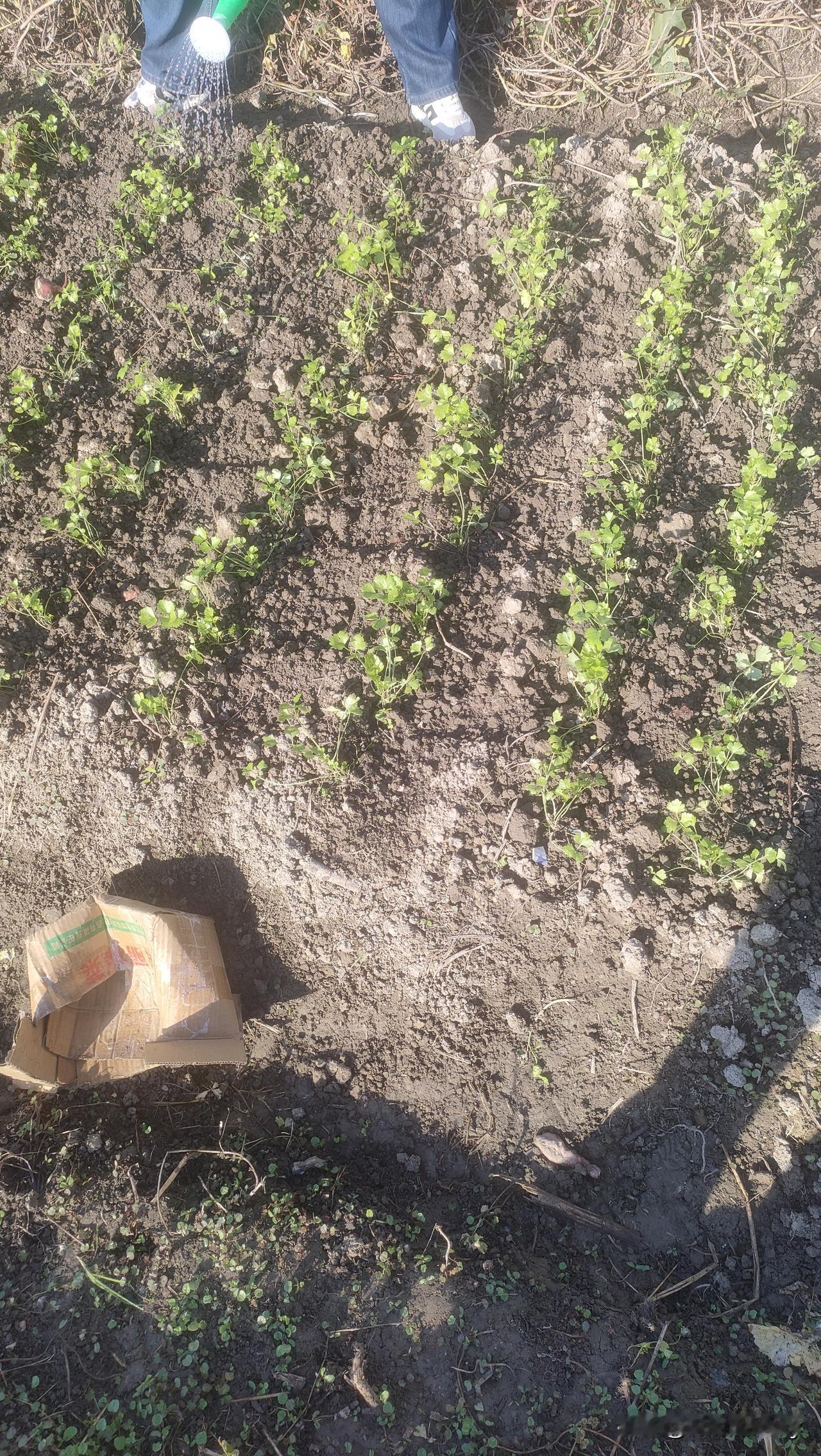 一个爱你的人会舍得不联系你吗个人认为不会，因为放不下，我的朋友分手十多年了现在还