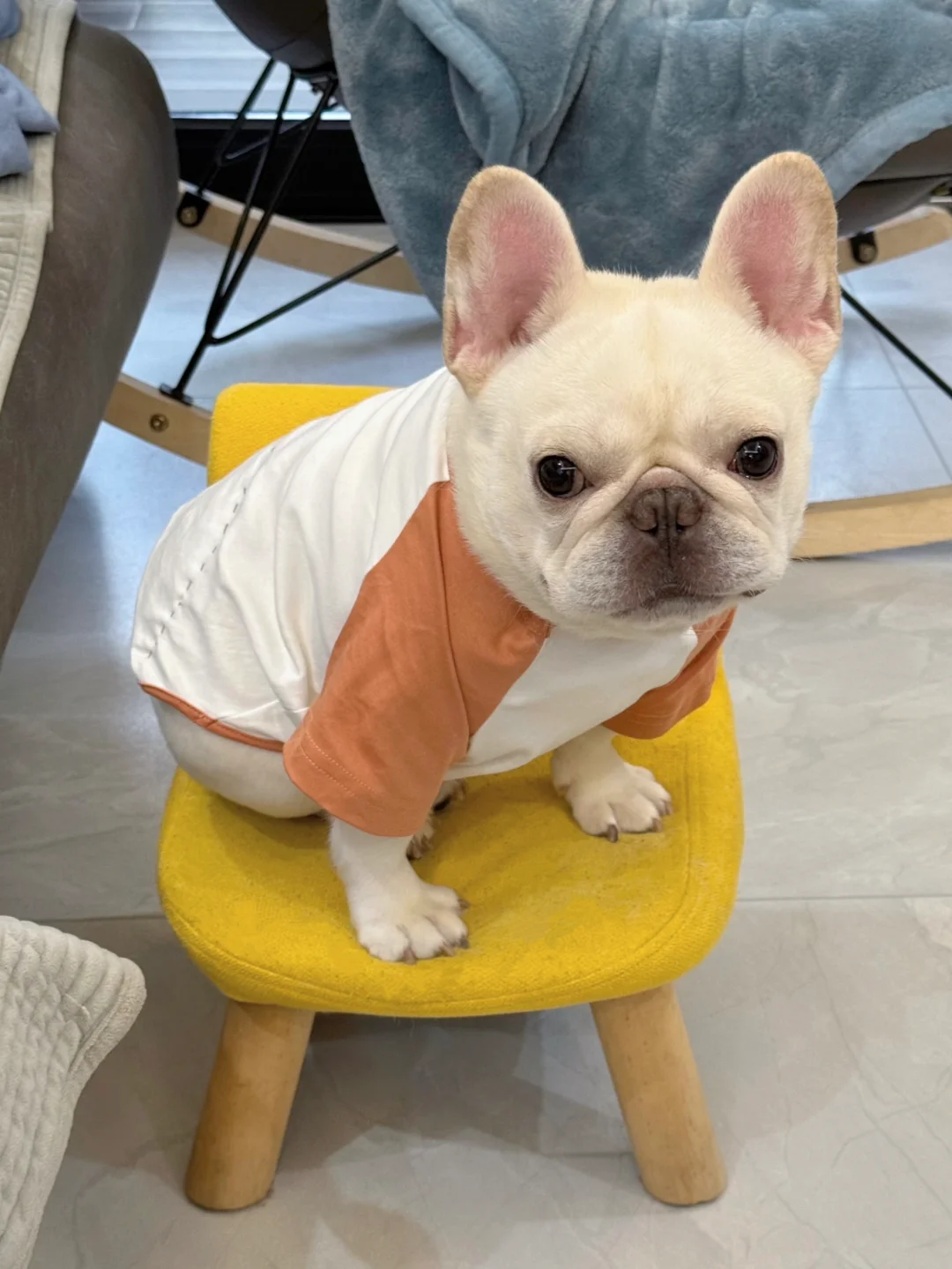 我有一把自己的小板凳