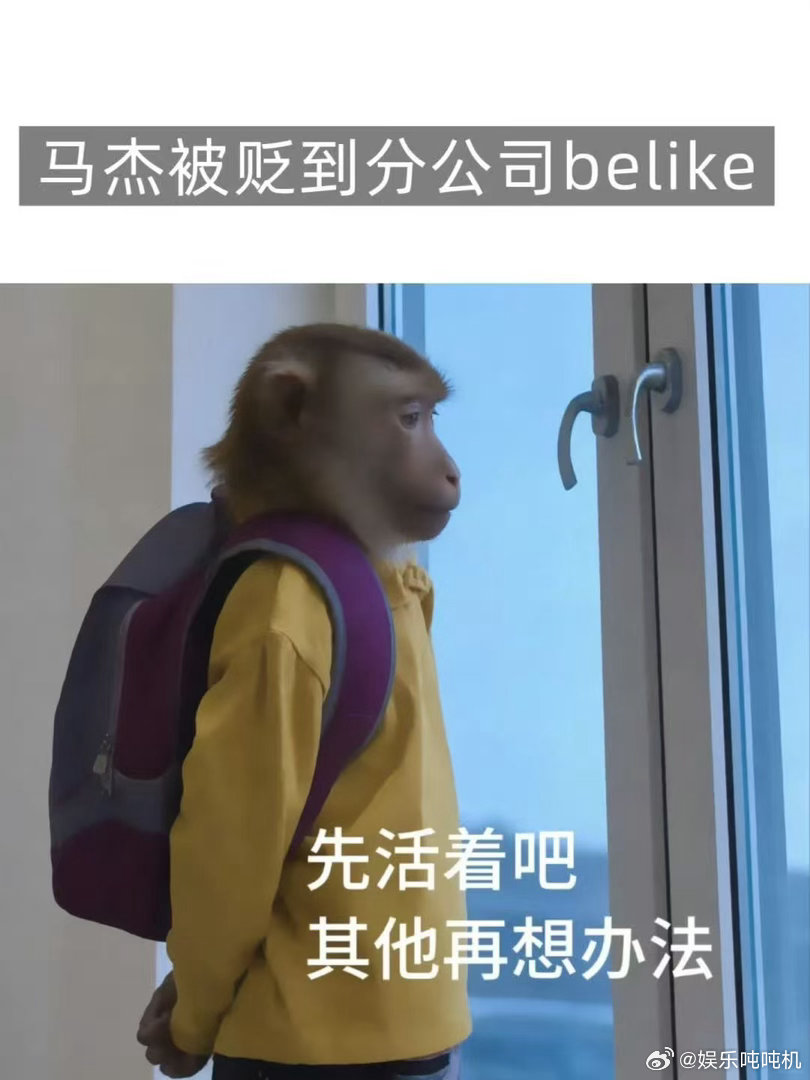没有动物受到伤害除了猴子的心没想到猴子打工起来都很专业官方声明：没有动物受到伤害