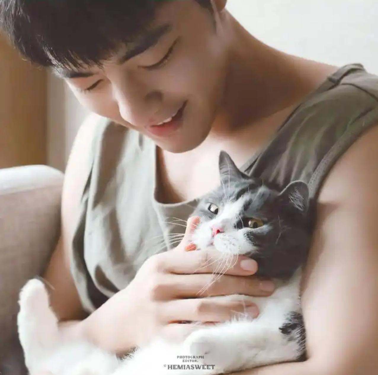 在下浩里遇见了一只小猫，慵懒的躺在篮子里，享受着冬日的阳光，让我瞬间想起了肖战家