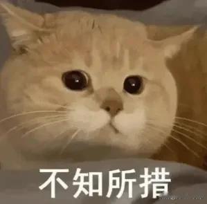 京东方技术分析！

京东方今日低开高走，开盘十五分钟直奔涨停，涨停封单金额超过5
