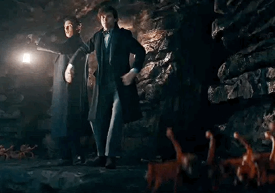 4年前的今天，《神奇动物：邓布利多之谜》在北美上映。影片最终北美票房9585万美