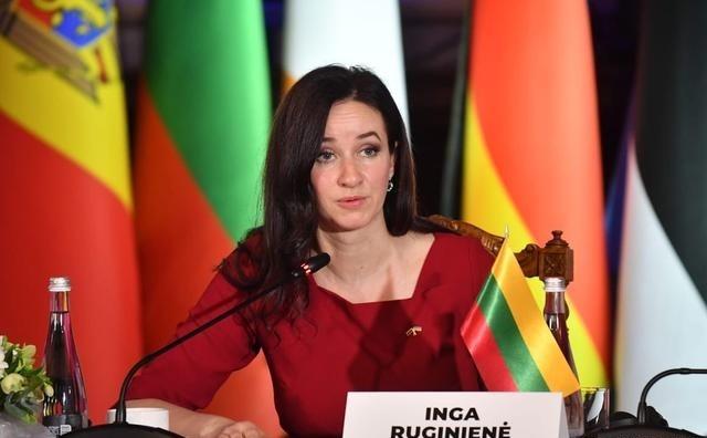 立陶宛认错：犯了战略性错误
立陶宛总理英加·鲁吉涅涅在受访时首度谈到5年前的立陶